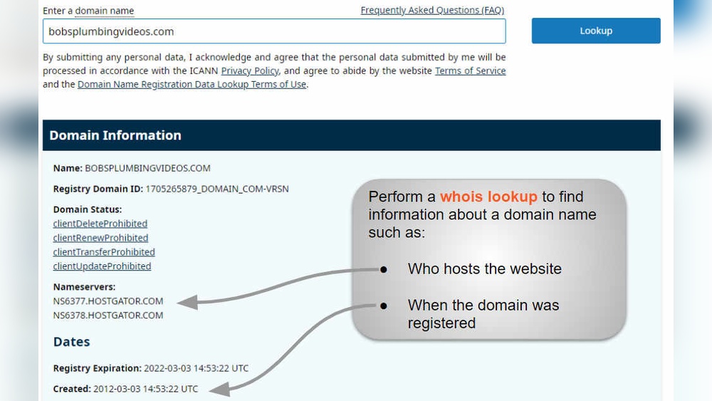 Can Wordpress Host My Domain