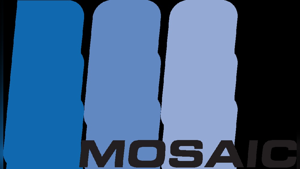 What Does Mosaic Sales Solutions Do