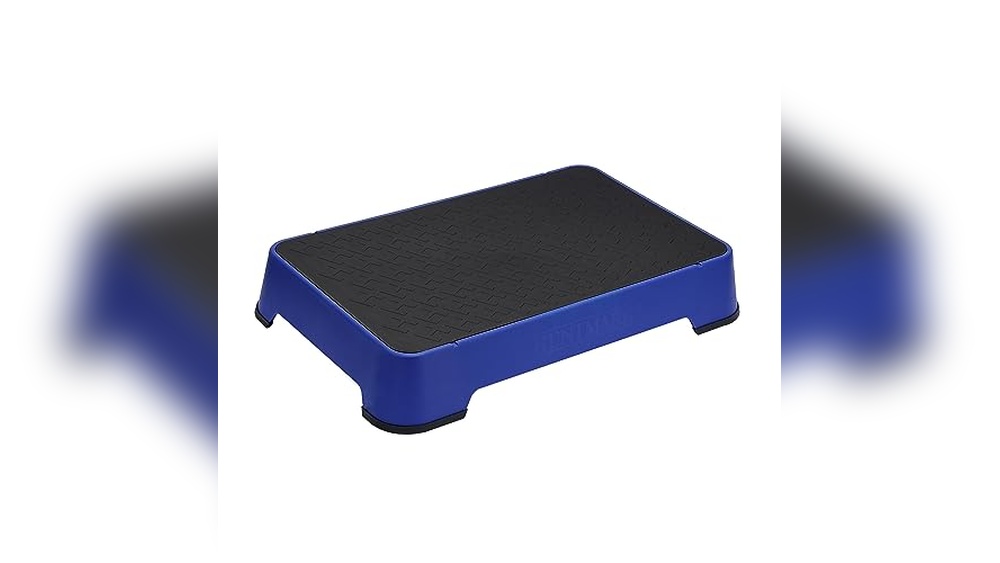 Best Dog Training Platform