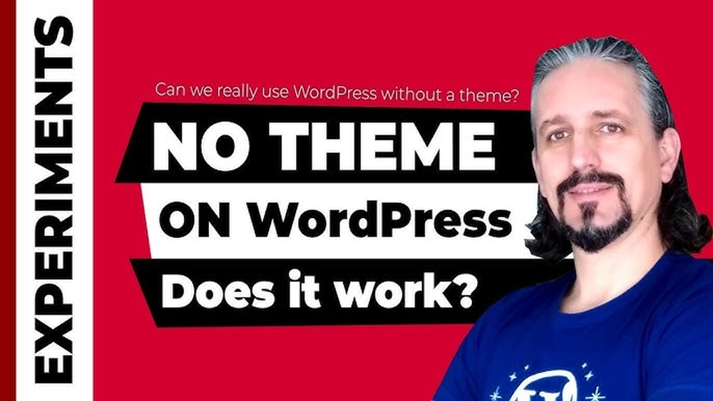 Can You Use Wordpress Without a Theme