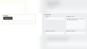 Can'T Upload Mp4 to Wordpress