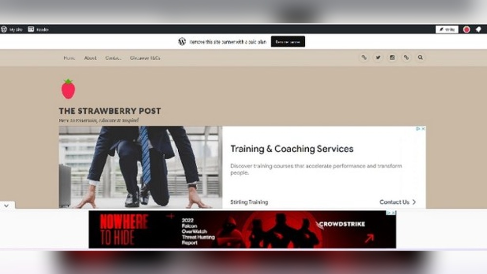 Does Free Wordpress Have Ads