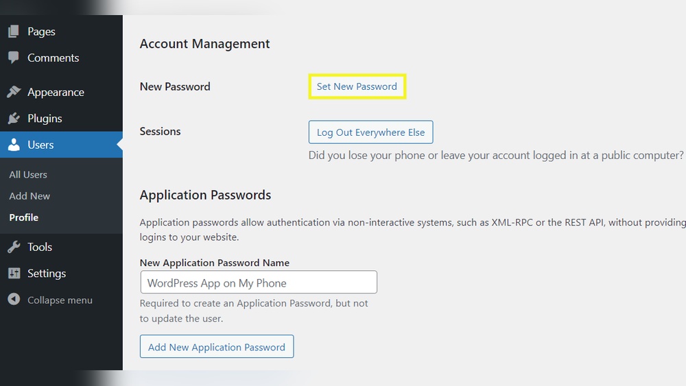 How Do I Find My Wordpress Password