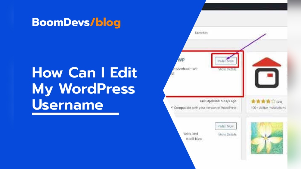 How Do I Find My Wordpress Username