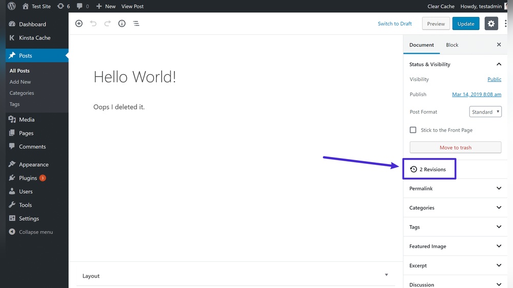 How Do I Undo Changes in Wordpress