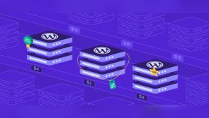 How Much is Hosting on Wordpress