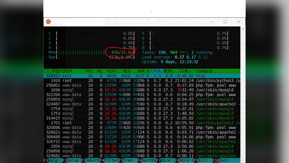 How Much Ram Does Wordpress Need