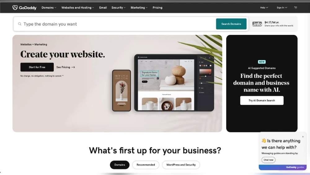 How Much to Chrge for Domain Hosting And Email