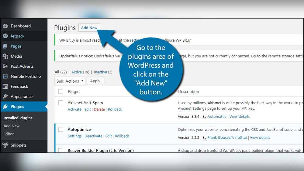 How to Add Animation in Wordpress