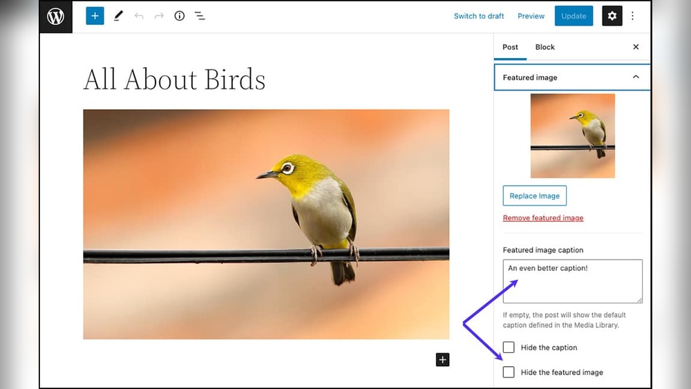 How to Add Caption to Featured Image Wordpress