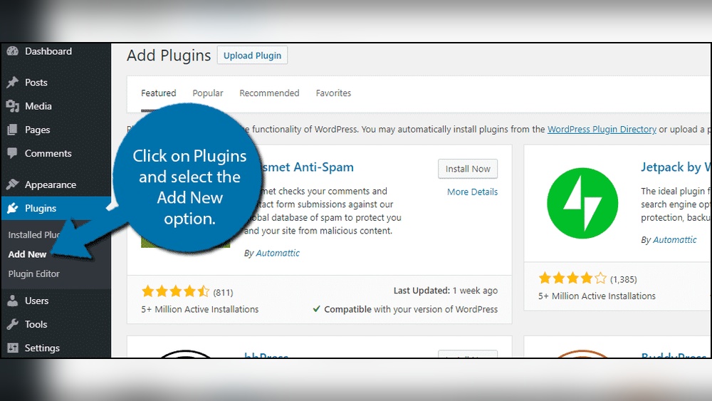 How to Add Header And Footer in Wordpress
