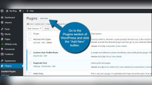How to Add Meta Tag in Wordpress Yoast