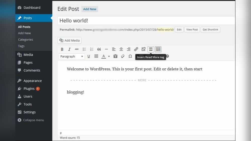 How to Add Read More on Wordpress