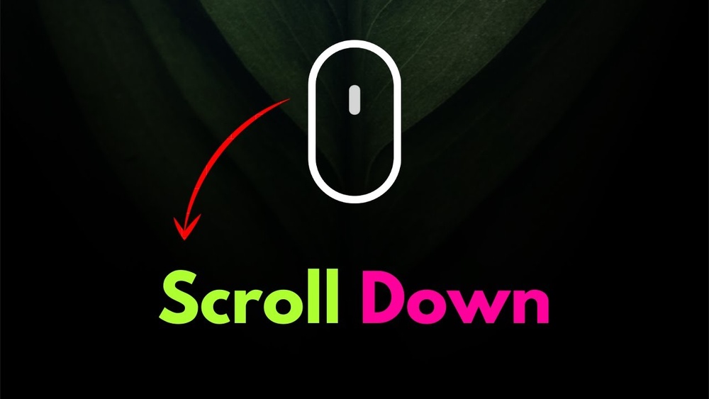 How to Add Scroll down Button in Wordpress