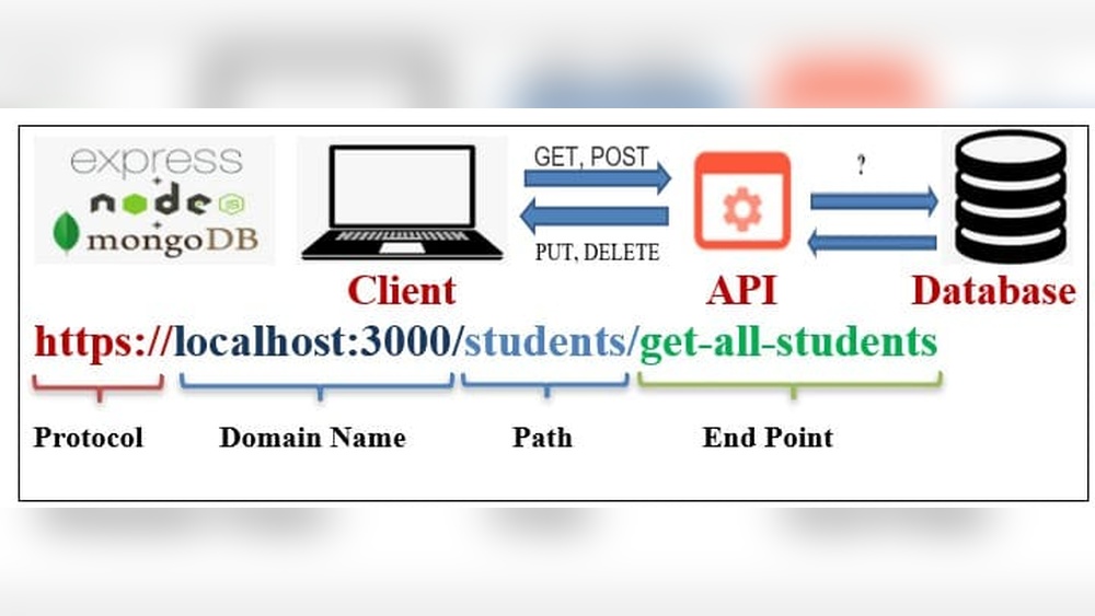 How to Get Domain of Local Host Dabase Js