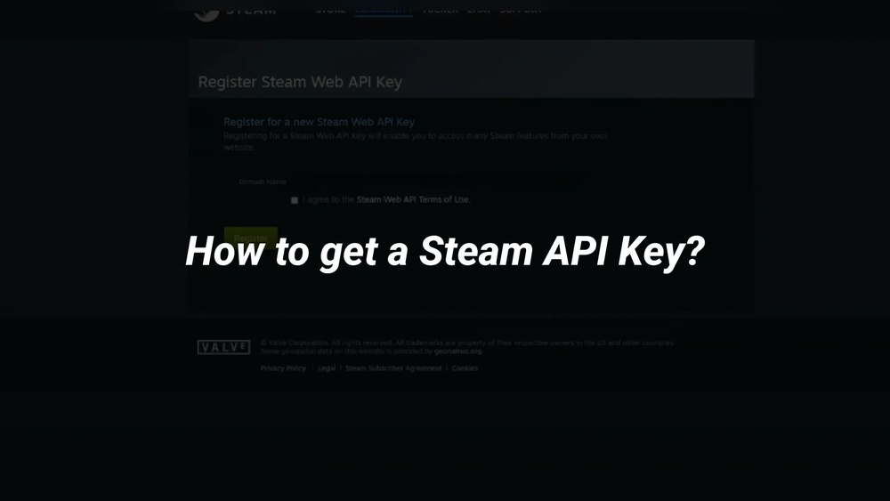 What Domain Host Does Valve Use