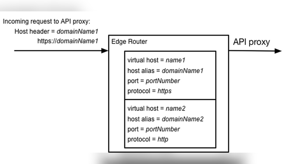 What is Domain Virtual Host