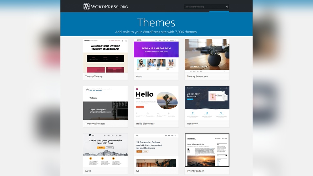 What is the Theme Wordpress