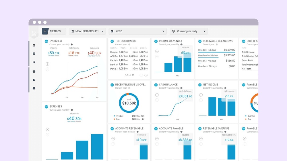 When was Business Budgeting Software Introduced