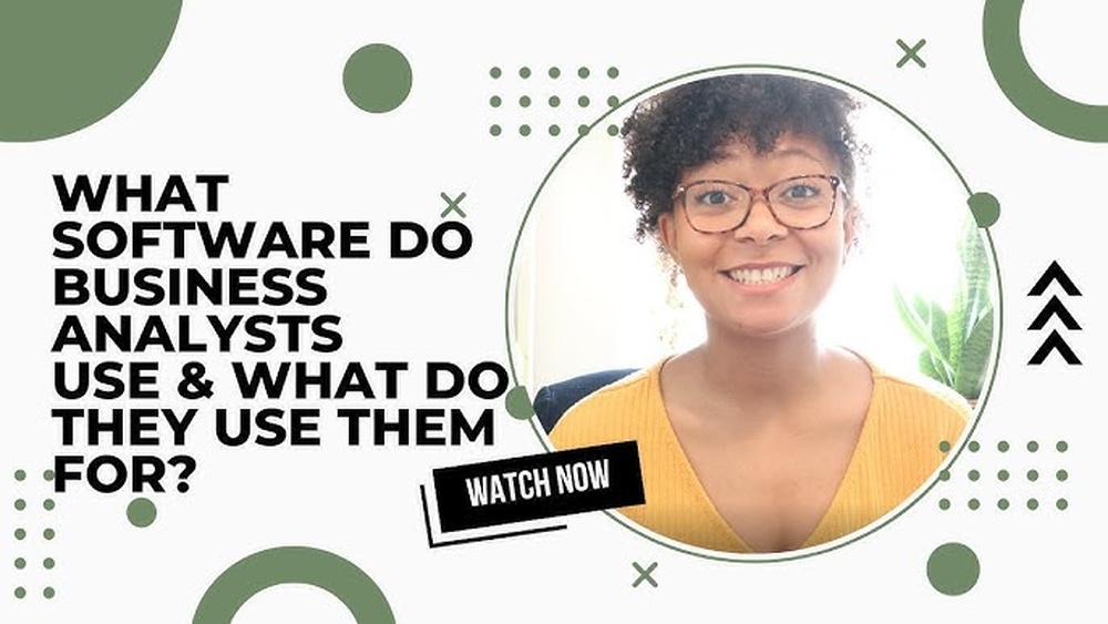 Which Software Business Analyst Uses