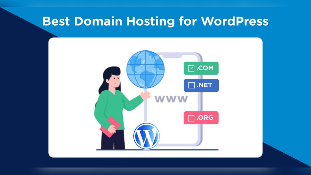 Who Hosts Wordpress Domains