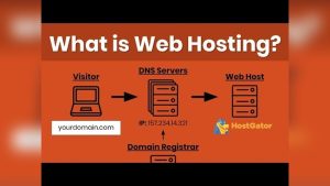 Who is a Domain Host