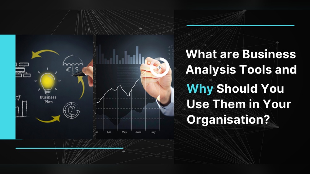 Why Do Organisations Use Business Analytics Software